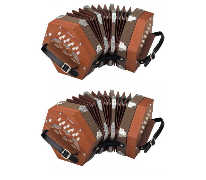 Hohner D40 Concertina 20 Key - C -NEW