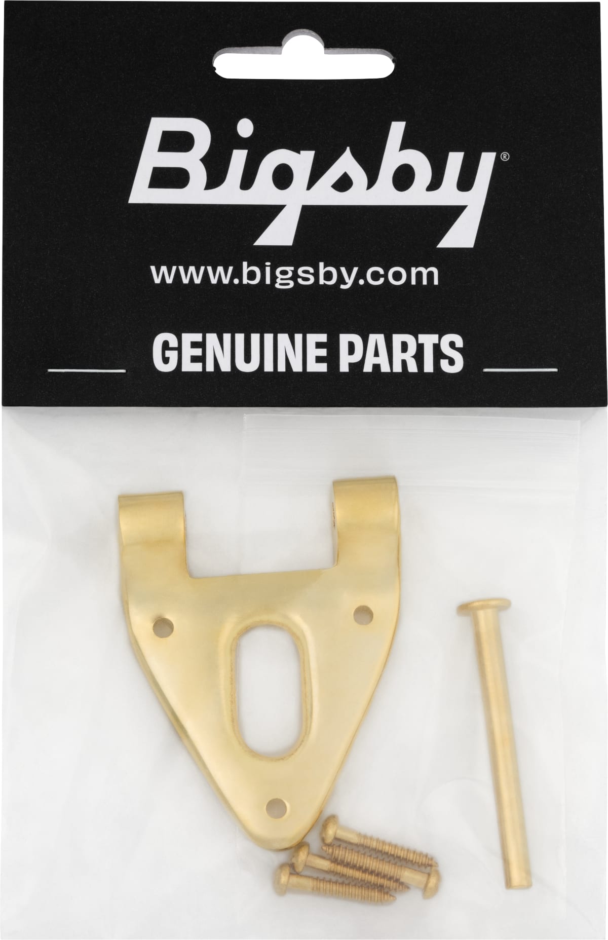 Bigsby® CONVENTIONAL HINGE W/HINGE PIN AND SCREWS -NEW
