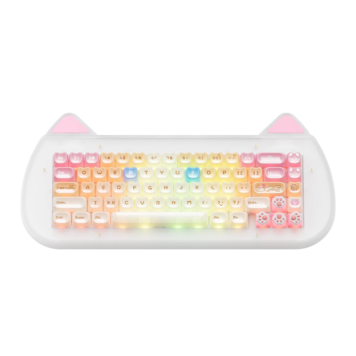 XVX AcriCat Wireless Acrylic Mechanical Keyboard C67 Model