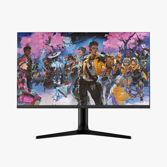 25 Inch 240Hz Full HD 1080P Gaming Monitor Rehisk RE251KV1