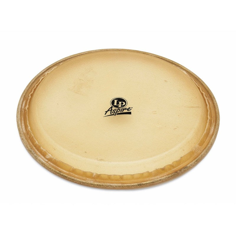 Latin Percussion LPA640B, Aspire 11 Rawhide Conga Head -NEW
