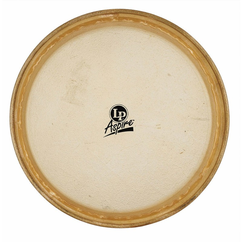 Latin Percussion LPA640B, Aspire 11 Rawhide Conga Head -NEW
