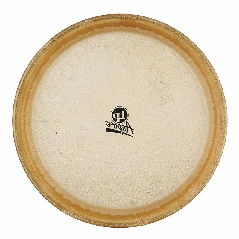 Latin Percussion LPA640B, Aspire 11 Rawhide Conga Head -NEW