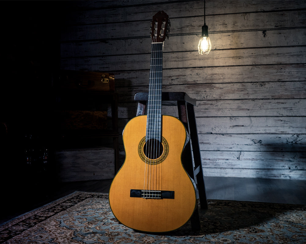 New - Washburn Natural Classical acoustic guitar C40