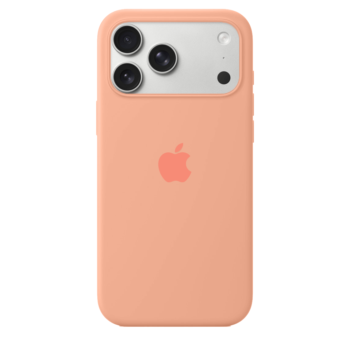 iPhone Silicone Case Begonia Full Body Protective Phone Cover Apple