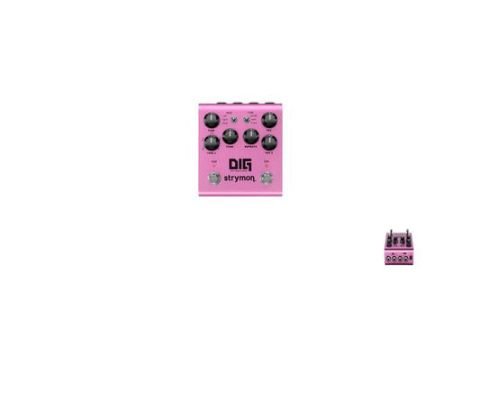 Strymon DIG Digital Delay Pedal V2