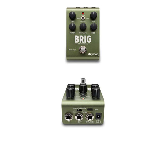 Strymon Brig Multi-voice dBucket Delay Pedal-NEW