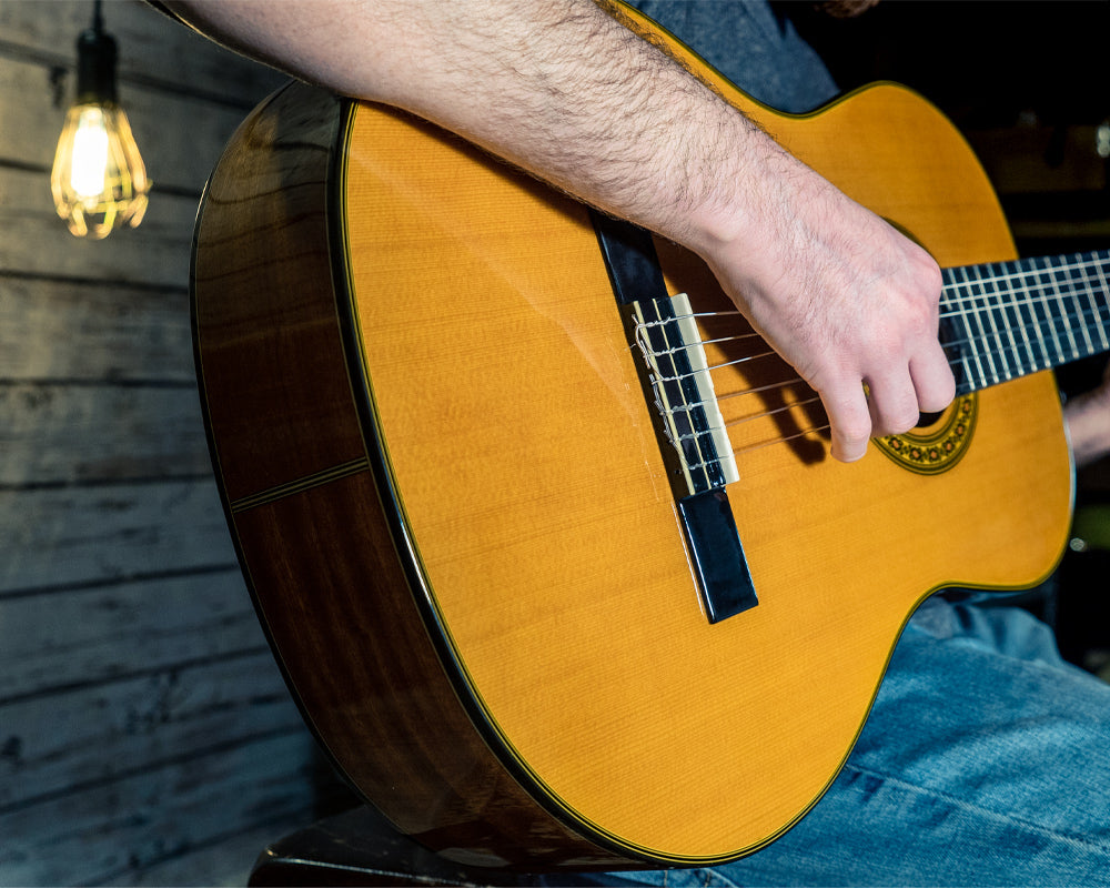 New - Washburn Natural Classical acoustic guitar C40